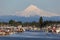 Mount Hood and Columbia River House Boats
