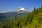 Mount Hood Hiking Trail