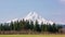 Mount Hood, Oregon framed by trees