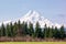 Mount Hood, Oregon framed by trees