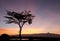 Mount kenya during sunrise, Ol Pejeta Conservancy, kenya