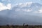 Mount Kilimanjaro with native porters carrying pack on their heads