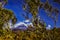 Mount Kilimanjaro and woods on Tanzanian upland