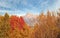 Mount Krivan peak Slovak symbol with autumn coloured trees in foreground, Typical autumnal scenery of Liptov region, Slovakia