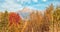 Mount Krivan peak Slovak symbol with out of focus autumn coloured trees in foreground, Typical autumnal scenery of