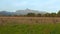 Mount Krivan peak Slovak symbol wide panorama with autumn field in foreground, Typical autumnal scenery of Liptov region,