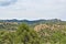 Mount Lemmon, Santa Catalina Mountains, Coronado National Forest, Tucson, Arizona, United States