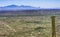 Mount Lemon View Saguaro Blooming Cactus Houses Tucson Arizona