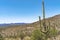 Mount Lemon View Saguaro Blooming Cactus Houses Tucson Arizona