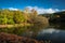 Mount Lofty Botanic Garden Lake in the afternoon sun