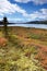 Mount McKinley from Wonder Lake with colourful landscape