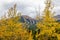 Mount Nakiska through the fall colours. Bow Valley Wilderness Area Alberta Canada