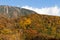 Mount Nantai and beautiful forest