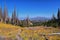 Mount Nebo Wilderness Peak, Views of hiking trail with peak of 11,933 feet, fall leaves panoramic, Wasatch Range of Utah