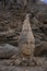 Mount Nemrut, Kingdom of Commagene, ancient statue heads.