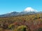 Mount Ngauruhoe and Mount Tongariro