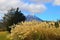 Mount Ngauruhoe, North Island, New Zealand