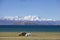 Mount Nyainqntanglha and lake Namtso