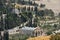 Mount of Olives, view from the walls of Jerusalem.