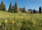 Mount Owen and Ruby Peak west of Crested Butte.