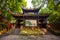 Mount Qingcheng scenery