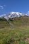 Mount Rainier and alpine meadows from the Skyline Trail