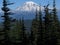 Mount Rainier from Angry Mountain