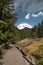 Mount Rainier Meadow