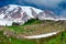 Mount Rainier with snow on a wondeful summer day