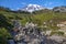 Mount Rainier, stream and alpine meadows from the Skyline Trail