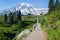 Mount Rainier, trees, hills and stepway