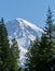 Mount Rainier vista