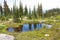 Mount Revelstoke Pond