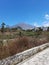 Mount rinjani, visible from the side of the road, with reeds drying out