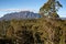 Mount Roland Tasmania