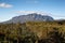 Mount Roland Tasmania