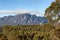 Mount Roland Tasmania