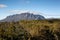 Mount Roland Tasmania