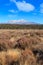 Mount Ruapehu, New Zealand, from the Rangipo Desert