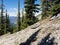 Mount Rundle spine and spectacular unspoiled scenery of the spray river valley