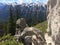 Mount Rundle spine and spectacular unspoiled scenery of the spray river valley