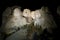 Mount Rushmore at night