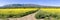 Mount Sainte Victoire and flowers