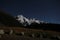 Mount Sefton from Car Park