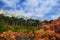 Mount Shaan-kaya, the city of Alupka, Crimea. A very beautiful autumn landscape: forest, mountains, clouds. For cards