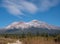 Mount Shasta with Evergreen Trees and a Trail in the Foreground in Autumn