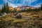 Mount Shasta Morning Views, Panther Meadow, Mt. Shasta California