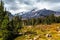 Mount Shasta Views, Panther Meadow, Mt. Shasta California