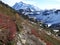 Mount Shuksan late fall scene