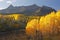 Mount Sneffels Range, Colorado